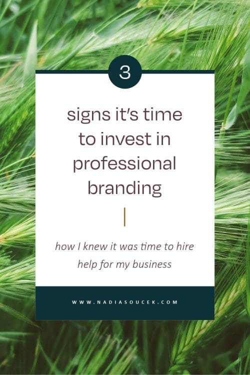 Nadia-Soucek-Design-Field-Guide-3-Signs-Its-Time-To-Invest-In-Professional-Branding Nadia-Soucek-Design-Field-Guide-3-Signs-Its-Time-To-Invest-In-Professional-Branding