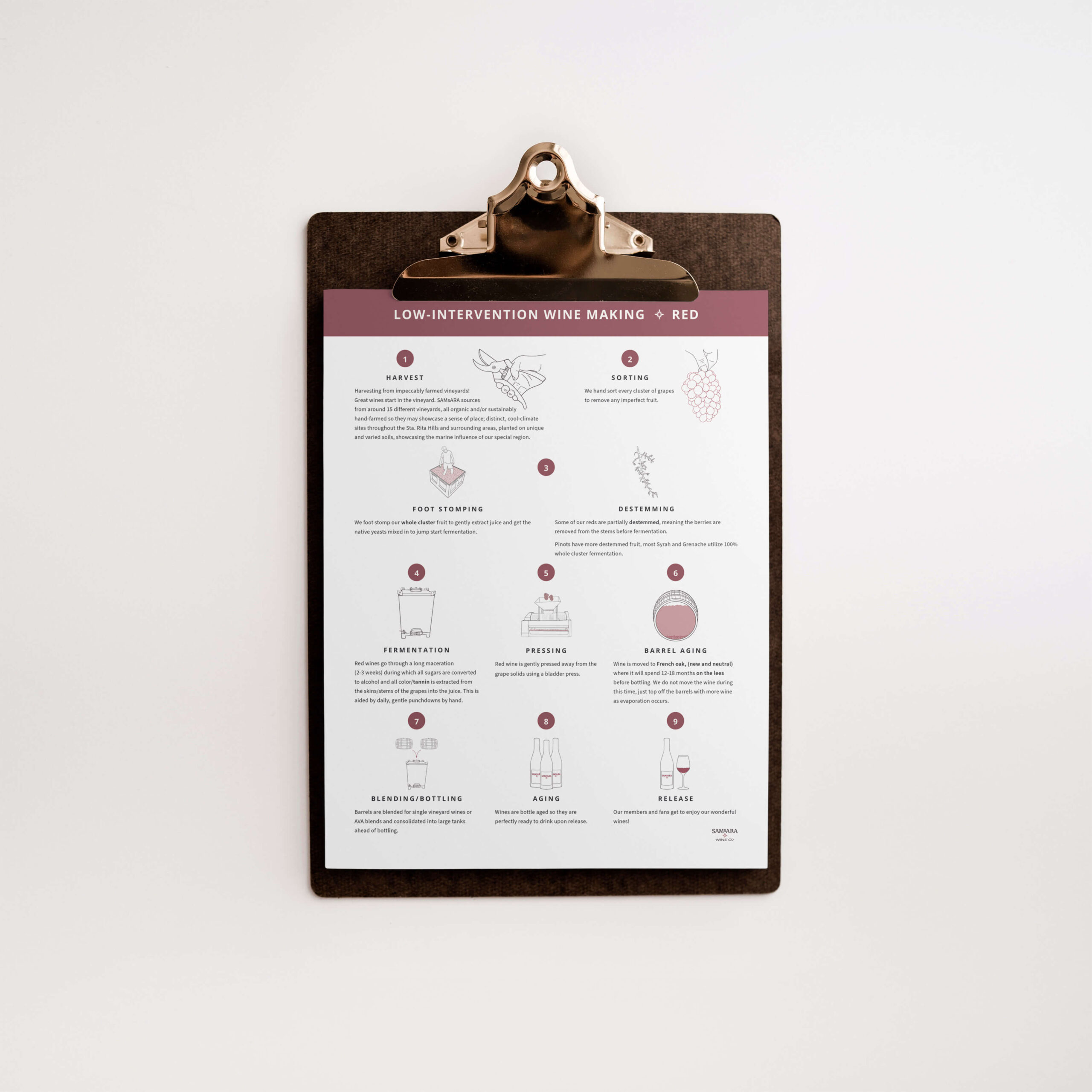 Clipboard holding a piece of paper with an infographic on low-intervention wine making process of red wine.