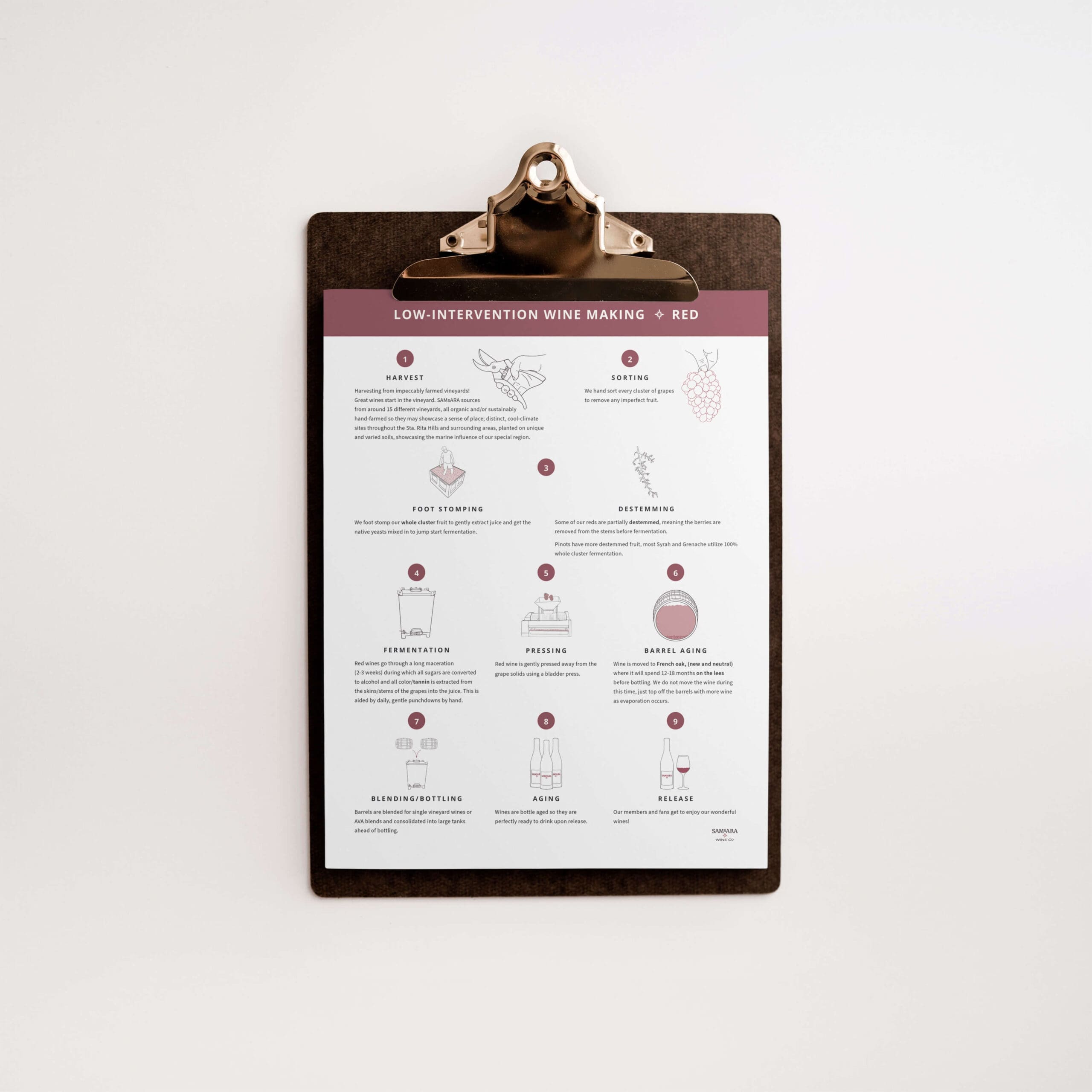 Clipboard holding a piece of paper with an infographic on low-intervention wine making process of red wine.