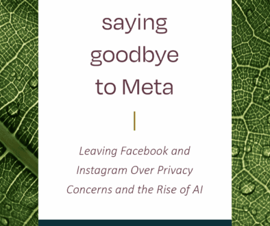 Saying-Goodbye-To-Meta-Story