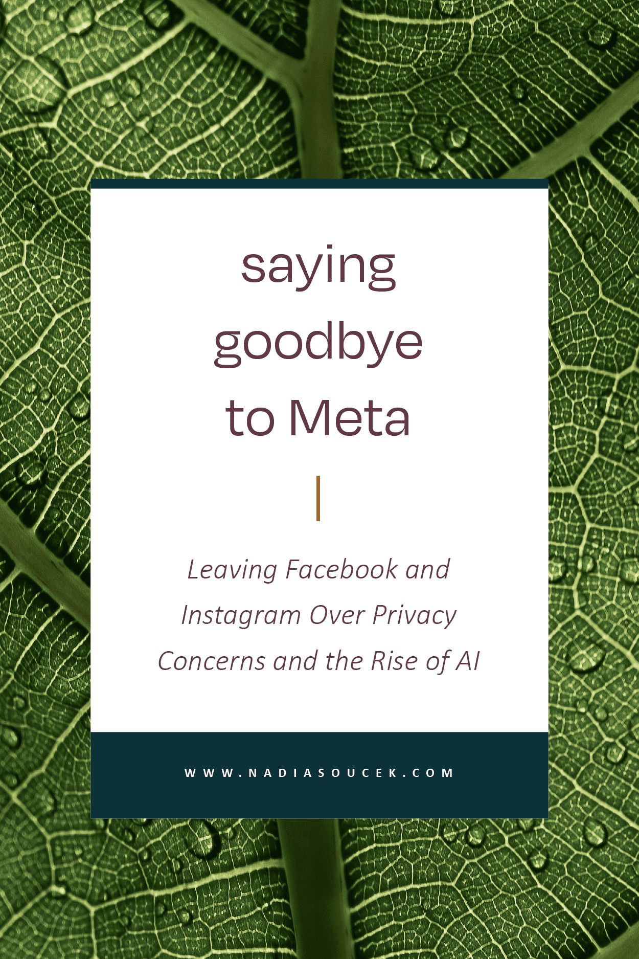 Saying-Goodbye-To-Meta-Story